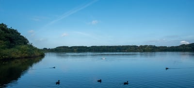 Hidden gems at Stokkavannet