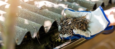 Maintaining a Norwegian house