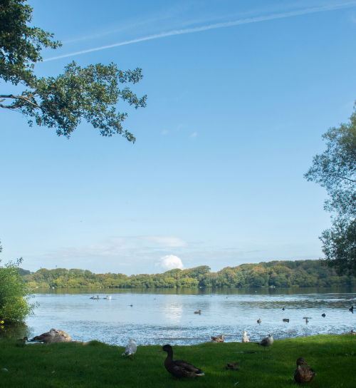 Hidden gems at Stokkavannet