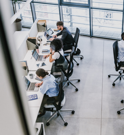 Job Search and Career: Optimize your CV